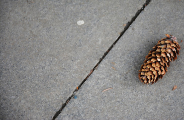 Lonely bump on the asphalt