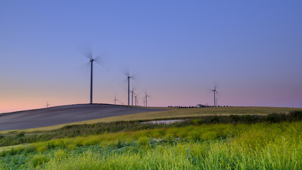 Spring evening light and sunset on the landscape near Arroyo del Olivillo between Sanlucar and Jerez de la Frontera, Cadiz, Andalucia, Spain