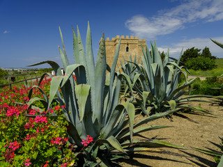 View of Torre Castillo de dona Blanca and gardens in spring sunshine, near El Puerto de Santa Maria, Andalucia, Spain
