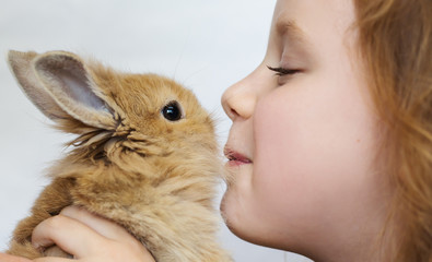 little girl baby kisses rabbit