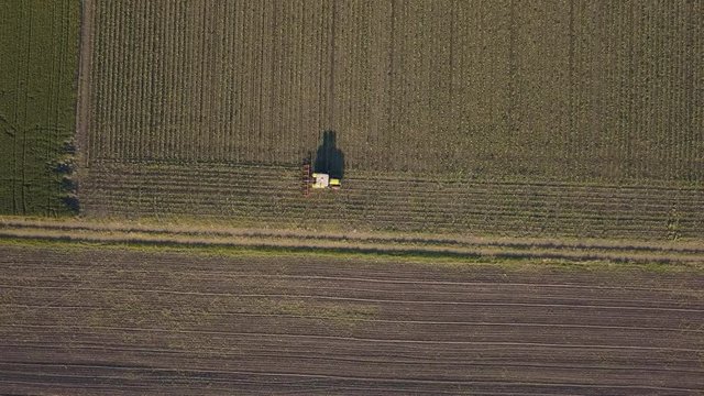 Tractor cultivating corn crop field, aerial view from drone pov