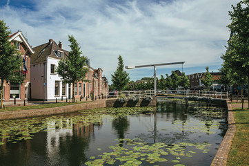 Tree-lined canal with aquatic plants, streets on the banks, brick houses and bascule bridge on a...
