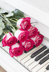 Luxury red roses on a piano. Bouquet of red roses and piano keys
