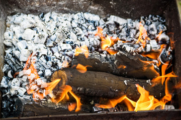 Burning logs in brazier at daylight