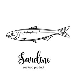 Vector sardine.