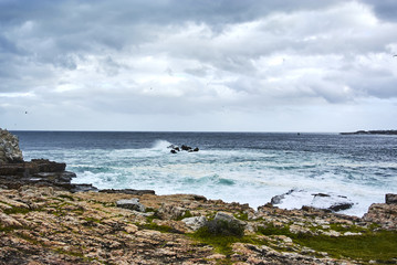 Seaview waves in Hermanus, South Africa