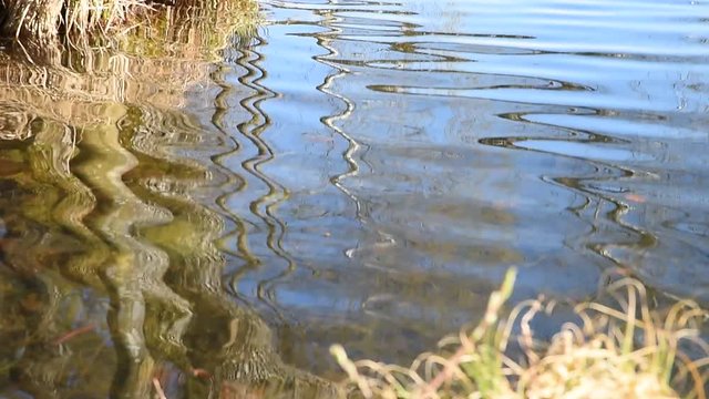 sanfte bewegende Wellen im Teich