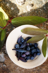 ceramic bowl with honeysuckle