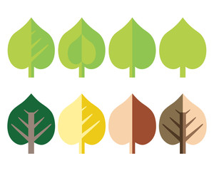 Set a stylized flat design leaf and tree linden suitable for a logo or advertising for a bio
