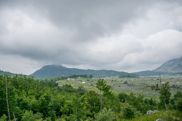 Fototapeta premium A walk in the woods and mountains in cloudy weather.