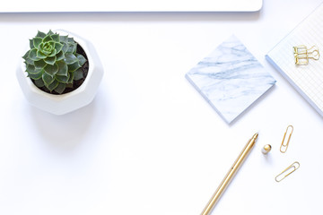Work space white flat lay with succulent. Copy space.