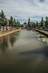 Tree-lined canal with aquatic plants, streets on the banks, brick houses and church on a sunny day...