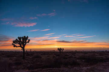 Naklejka na ściany i meble Desert sunset - California 