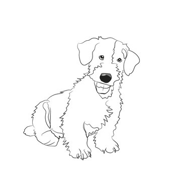 dog sitting, lines, vector