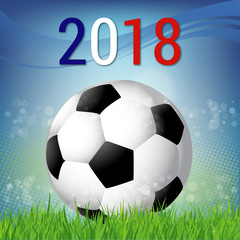 Fototapeta premium Coupe du monde de football
