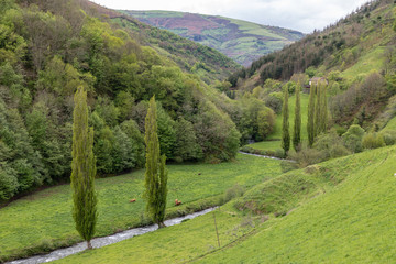 Location of Carballo in the Cangas del Narcea, Asturias, Spain