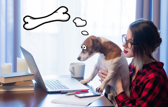 Young businesswoman at home interior with dog near conputer and dreamong about bone