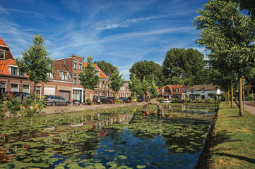 Fototapeta na wymiar Tree-lined canal with aquatic plants, boats on the banks and brick houses on a sunny day in Weesp. Quiet and pleasant village full of canals and green near Amsterdam. Northern Netherlands.