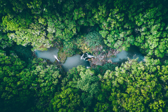 Hidden Oasis