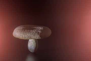 Balanced shapes, shapes and natural textures stand together in b