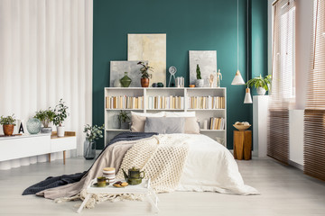 Bookcase headboard in green bedroom