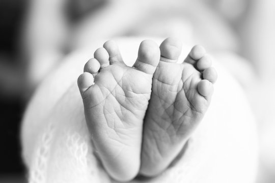 Baby Feet Black White Photo