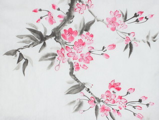 cherry blossom branch © hikolaj2