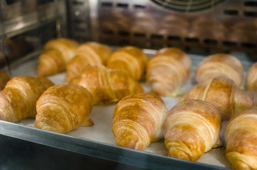 A tray with croissants being backed in the electric oven