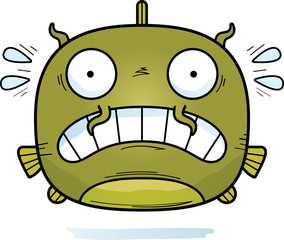 Scared Little Catfish