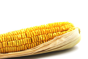 Corn on a white background