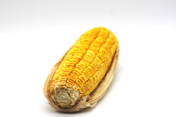 Corn on a white background