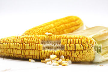 Corn on a white background