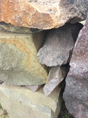 Wild rock stone background