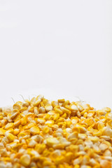 Corn on a white background