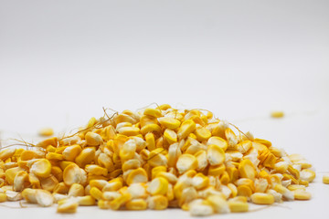 Corn on a white background