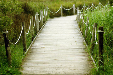 Fototapeta premium Wooden path