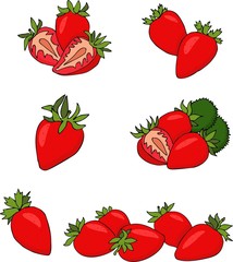 Strawberry fruit vector