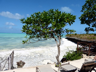 Strand in Jambiani auf Sansibar (Tansania)
