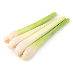 lemon grass isolated on a white background