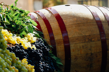 Wood barrell with bunches of wine grapes. Festa dell'Uva, Impruneta. Tuscany Chianti wine festival, Italy