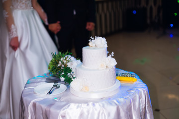 the newlyweds hold hands and a round table with a beautiful white cake stands next to them