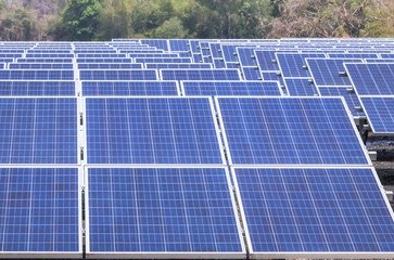 Close up rows array of polycrystalline silicon solar cells or photovoltaics in solar power plant...