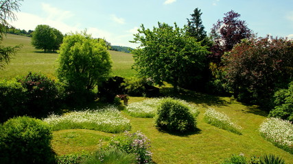 Garten mit natürlicher Wiese und vielen Margeriten in Randlage eines Wohngebietes