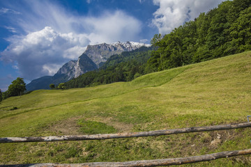 View at Swiss Alps