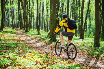 man ride bicycle in the forest in summer day