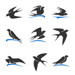 Martlet set. Vector bird