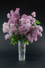 A bouquet of lilac on a black background