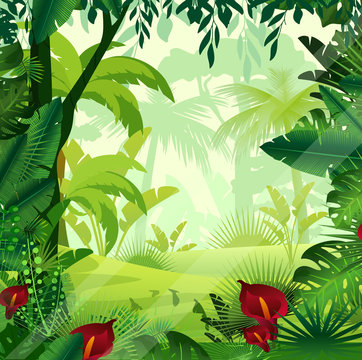 Jungle Background Cartoon Images – Browse 138,303 Stock Photos, Vectors,  and Video | Adobe Stock