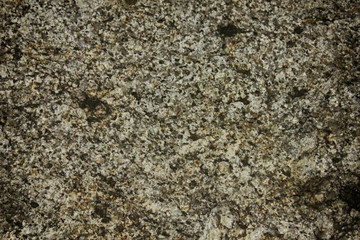 Rough stone Dark tone