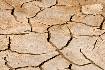 Cracked Earth